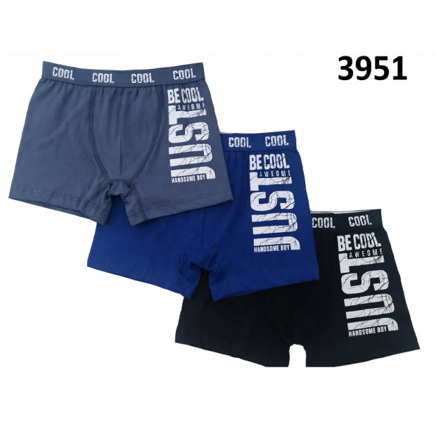 BR Шорти боксери для хлопчика 3951  ПІДЛІТОК  6(3) шт