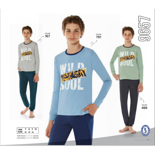 BR Піжама для хлопчика 12,13,14 стрейч/бавовна  9657    12,13,14  3 шт.