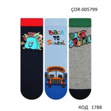 Bross Шкарпетки бавовняні для хлопчика МАЛЮНОК ÇOR-005799 МІКС  12(3)шт.