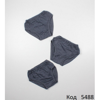 МС Труси кулір для хлопчика  ТК-2    92-116    10шт