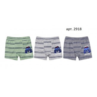 Труси для дівчинки Donella дитячі 41478YH 10 шт.