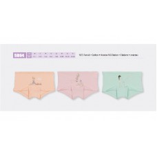 BR Шорти для дівчинки  5864,99    06,07    12(6) шт.