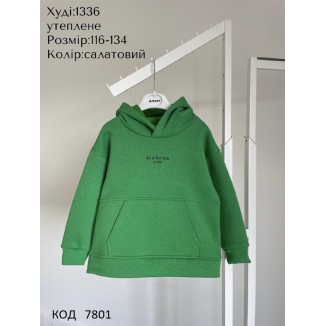 Hart Худі 3-х нитка начос 116-134 УНІ 1336  4шт.