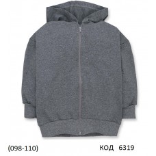 ТТ Кофта 2-х нитка на замке КАПЮШОН 4220292  098,104,110  3 шт