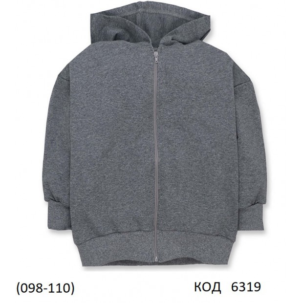 ТТ Кофта 2-х нитка на замке КАПЮШОН 4220292  098,104,110  3 шт