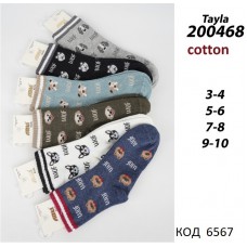 ArtiKatamino Шкарпетки бавовняні для хлопчика МАЛЮНОК 200468 Мікс кольорів  12(3) шт.