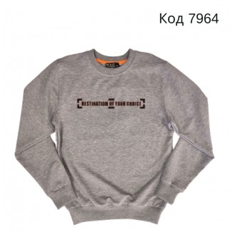 Tr Реглан для хлопчика Bold 6879  140-176  4 шт