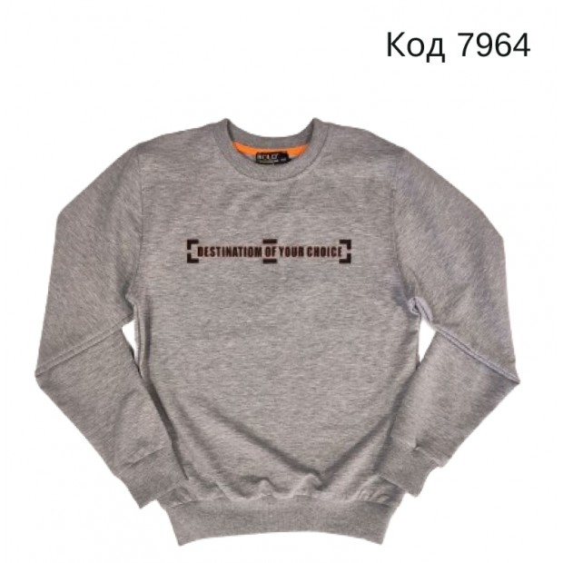 Tr Реглан для хлопчика Bold 6879  140-176  4 шт