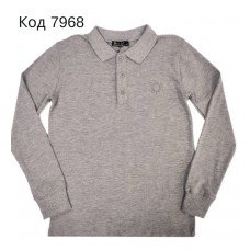 Tr Реглан з коміром лакоста для хлопчика Bold 8956  116-134   4 шт