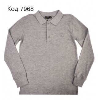 Tr Реглан з коміром лакоста для хлопчика Bold 8956  116-134   4 шт