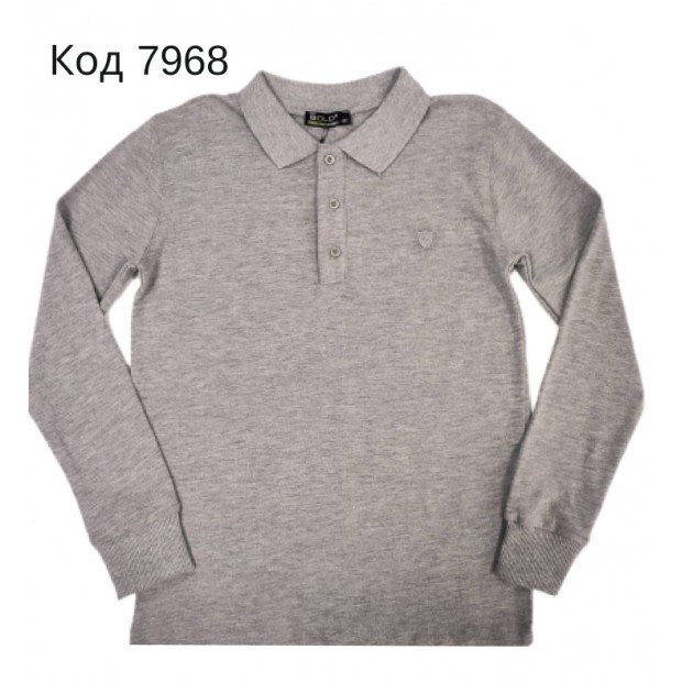 Tr Реглан з коміром лакоста для хлопчика Bold 8956  116-134   4 шт