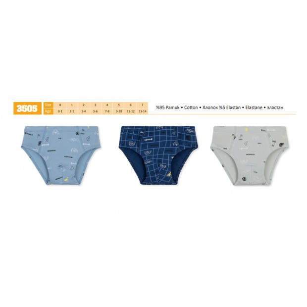 BR Труси для хлопчика 3505       06,07   12(6) шт