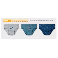 BR Труси для хлопчика 3389       12(6) шт