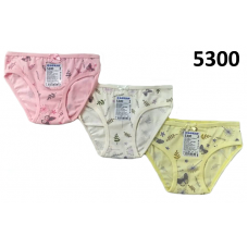 BR Труси для дівчинки   5300,99    06,07    12(3) шт.