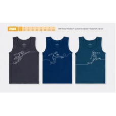 BR Майка для хлопчика 2518  06   6(3) шт