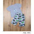 МС Костюм для хлопчика (Футболка кулір+шорти 2-х нитка )   КП-2450   80,86,92 р 3шт