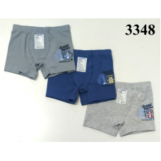 BR Шорти боксери для хлопчика 3348  06   6(3) шт