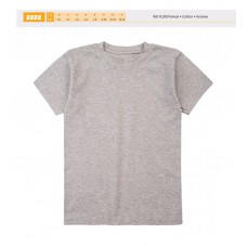 BR Футболка для хлопчика 2222,20 СІРИЙ   06,07   6(3) шт