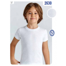 BR Футболка для хлопчика 2630,01 БІЛИЙ   06,07   2 шт