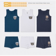 BR Набір6 білизни для хлопчика(майка+боксери) 2444/3444   .6(3) шт.