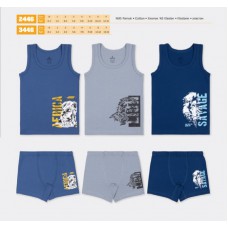 BR Набір6 білизни для хлопчика(майка+боксери) 2446/3446   .6(3)шт.