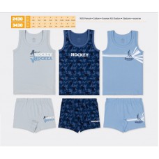 BR Набір6 білизни для хлопчика(майка+боксери) 2430/3430    06,07   6(3)шт.