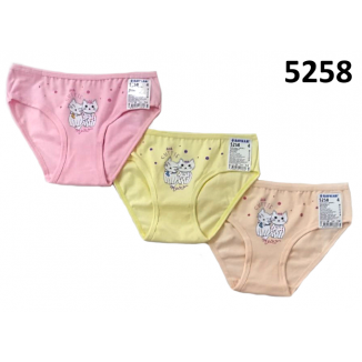 BR Труси для дівчинки  5258,99    12(6) шт.