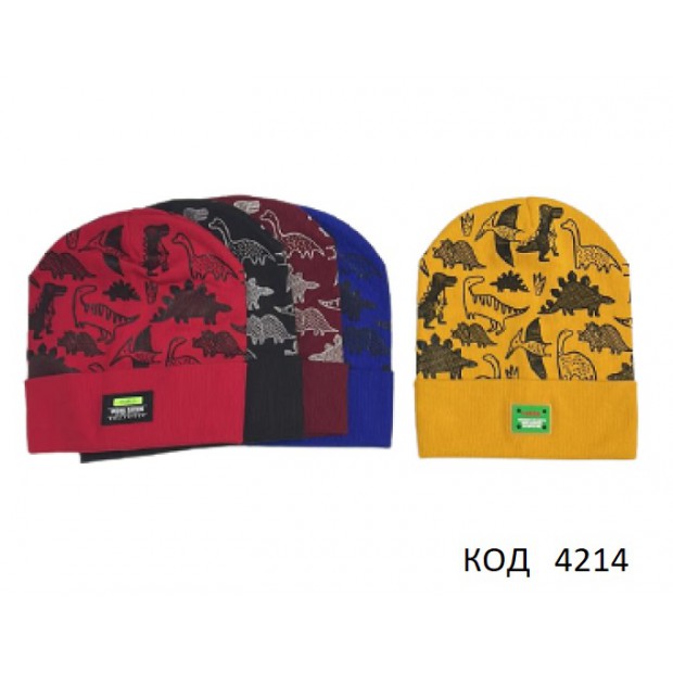 Ukr Шапка для хлопчика РУБЧИК  Отворот Динозаври 5 шт