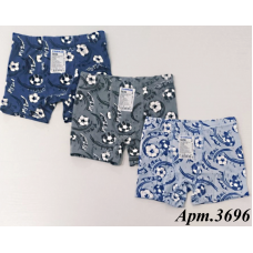 BR  Шорти боксери для хлопчика 3696  6(3) шт