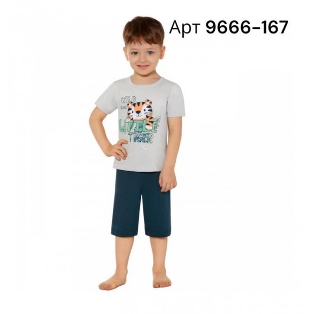 BR Костюм для хлопчика 03-06 (футболка+шорти)  9666  KUM GRI (167) сірий    1шт.