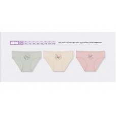 BR Труси для дівчинки  5850,99    06,07    12(6) шт.