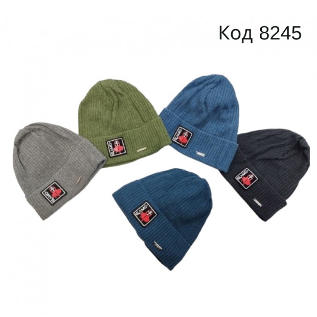 AGBO Шапка в'язана для хлопчика  J-6-2157  48-50   5 шт.
