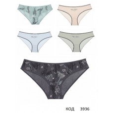 Труси для дівчинки Donella підліток 51711303В 10(5)шт
