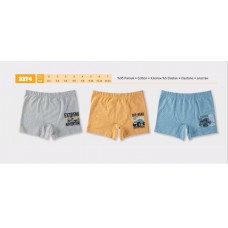 BR Шорти боксери для хлопчика 3374  06,07   6(3) шт