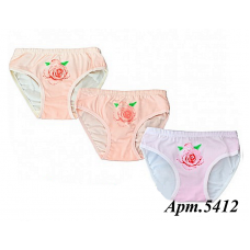 BR  Труси для дівчинки 5412,99    12(3) шт.