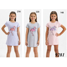BR Нічна сорочка 03-06 короткий рукав  9281   3-6   4 шт.
