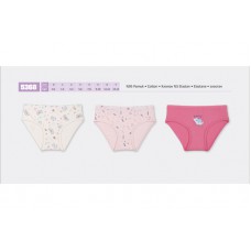 BR Труси для дівчинки  5368,99    06,07    12(6) шт.