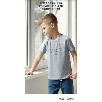 Hart Футболка 110-128 для хлопчика  759  4 шт.