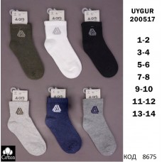 ArtiKatamino Шкарпетки бавовняні для хлопчика Значок  200517 МІКС кольорів 12(3) шт.