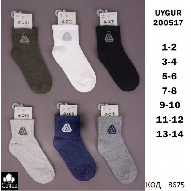 ArtiKatamino Шкарпетки бавовняні для хлопчика Значок  200517 МІКС кольорів 12(3) шт.