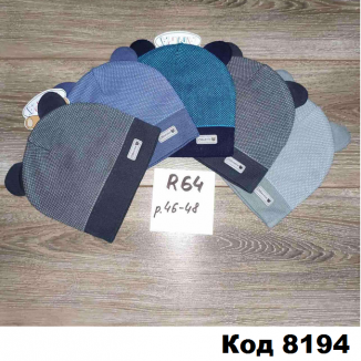 Шапка Анпа мальчик R-64   46-48    5 шт.