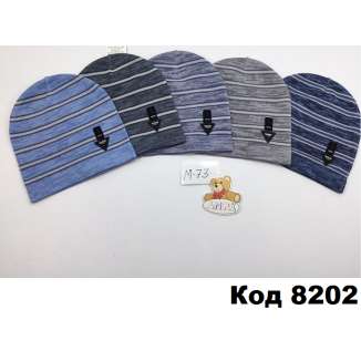 Шапка Анпа мальчик М-73   50-52    5 шт.