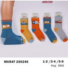 ArtiKatamino Шкарпетки махрові для хлопчика МАЛЮНОК 250246  МІКС   12(3) шт.