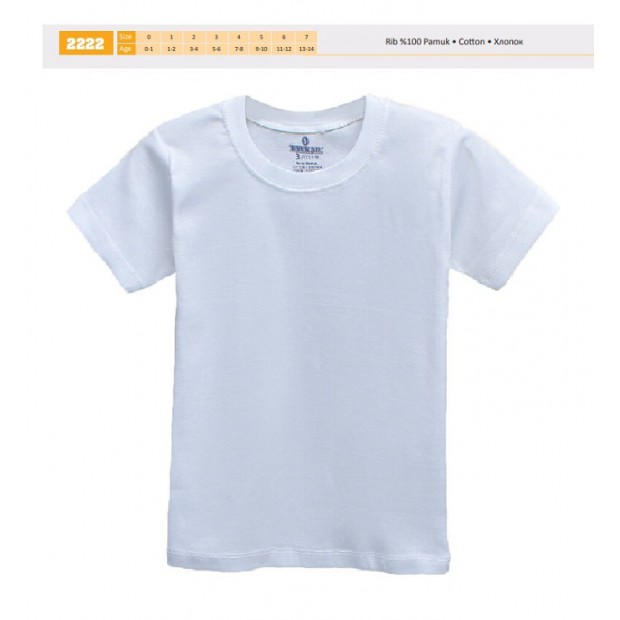BR Футболка для хлопчика 2222,01 БІЛИЙ   06,07   6(3) шт
