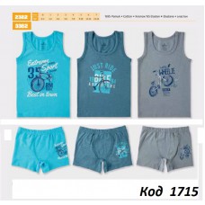 BR Набір білизни для хлопчика(майка+боксери) 2382/3382       6(3)шт.
