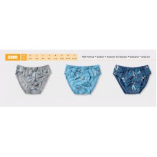 BR Труси для хлопчика 3365       06,07   12(6) шт