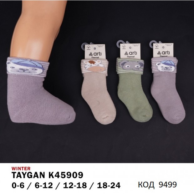 ArtiKatamino Шкарпетки махрові для хлопчика ясельні ВІДВОРОТ К45909 мікс 0-6/12-18  12(3) шт.