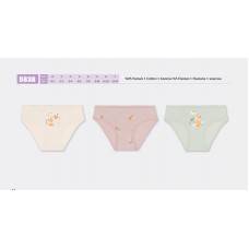 BR Труси для дівчинки  5838,99    06,07    12(6) шт.