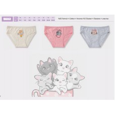 BR Труси для дівчинки  5682,99 КОТИКИ    12(6) шт.