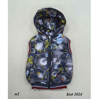 Ch Жилетка для хлопчика з капюшоном синтапон на флісі L-XXL (2-5років)  3(2) р.